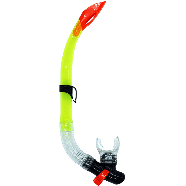 Snorkel