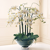 Artificial Floral