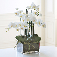 Artificial Floral