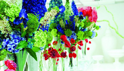 Delphinuim Iris beauty