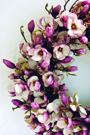 Magnolia