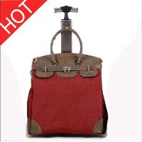 Export Trolley Bags/travel Luggages