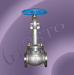 Cryogenic Globe Valve, Api Globe Valve