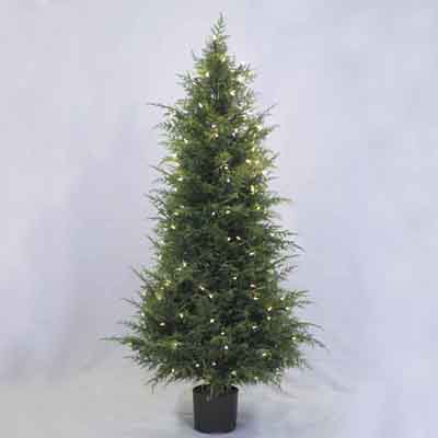Cedar Full 5' Ltd Topiary Tree w/Pot