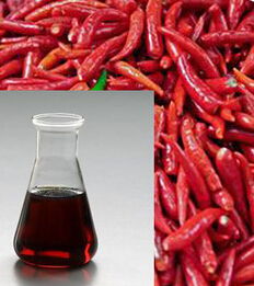 Chili Oil