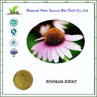 Natural Echinacea Extract Polyphenol 2%-4% Cichoric Acid