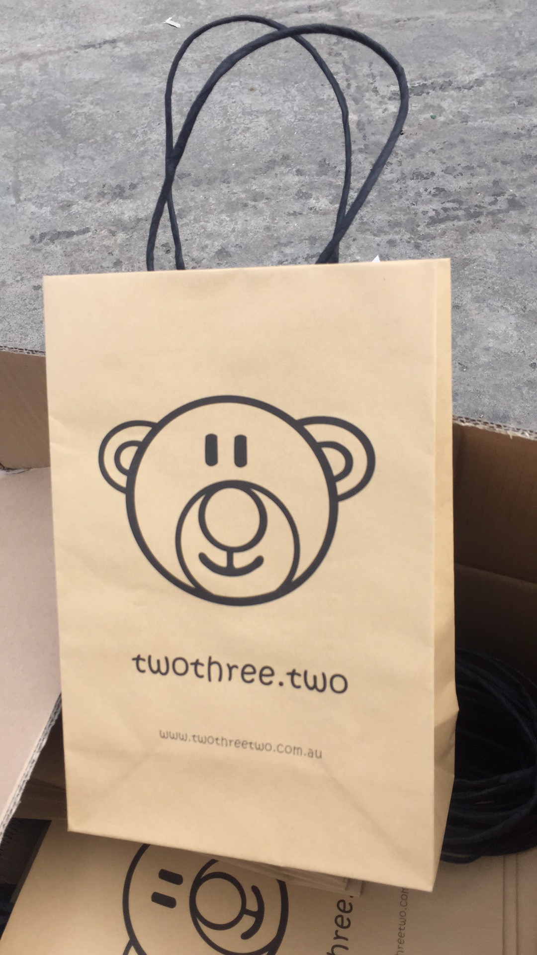 Printed Brown Kraft paper bag