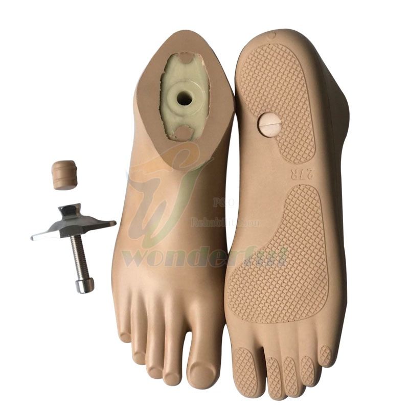 Waterproof and Non-Slip Sach Foot With Plastic Core and Adapter