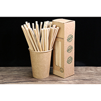 Bamboo Straw