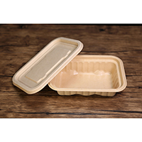 Fluorine Free Bagasse Box & Lid