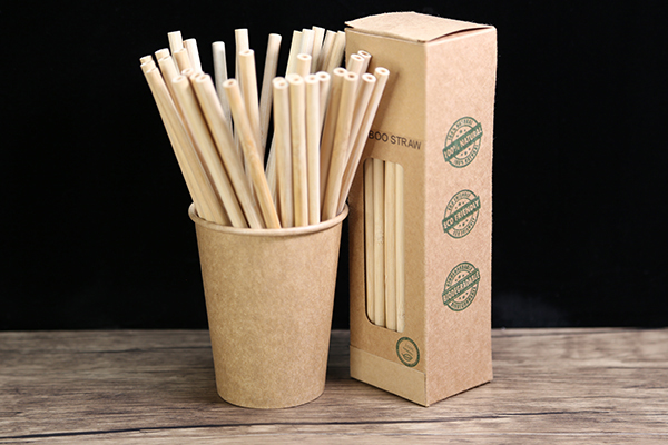 Bamboo Straw