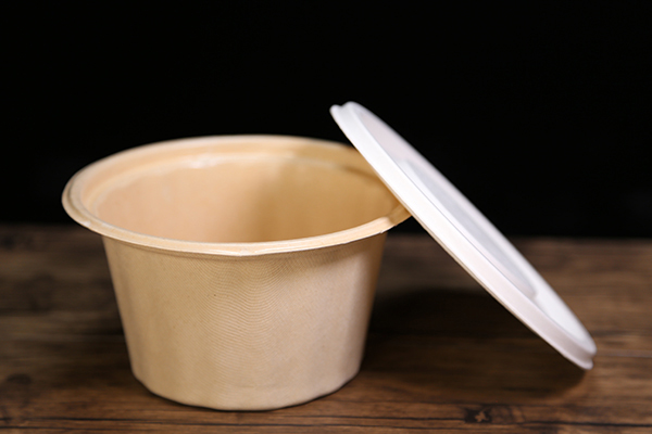 Fluorine Free Bagasse Bowl & Lid