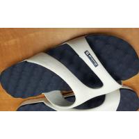 Light Flip Flop