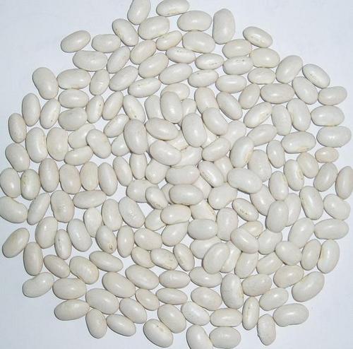 Japanese White Kidney Beans