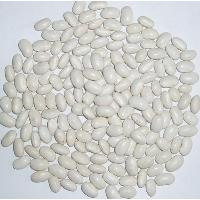 Japanese White Kidney Beans