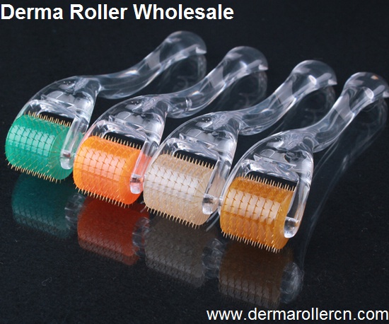 High Quality Titanium Needles Derma Roller