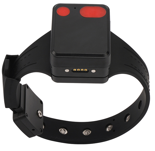 Parolee Ankle Tracking Monitor