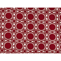 Allover Embroidery