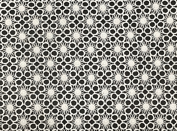Allover Embroidery