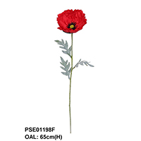SINGLE POPPY