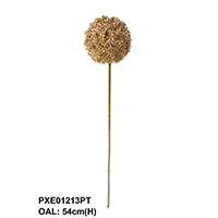 SINGLE ALLIUM
