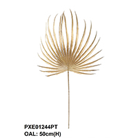 PALM LEAF