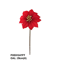 SHORT STEM POINSETTIA