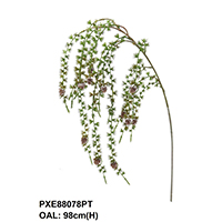 PODOCARPUS SPRAY