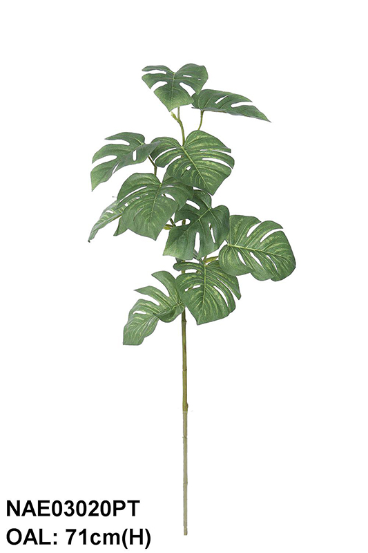 MONSTERA SPRAY