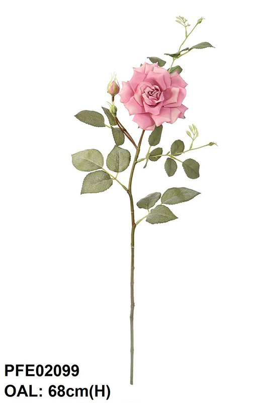 ROSE WITH BUD