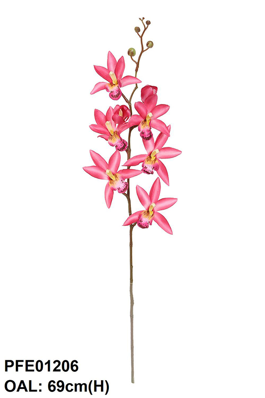 SINGLE ORCHID