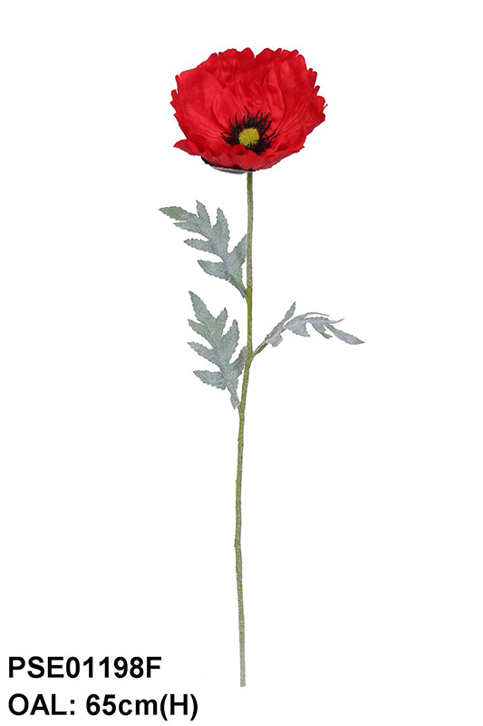 SINGLE POPPY
