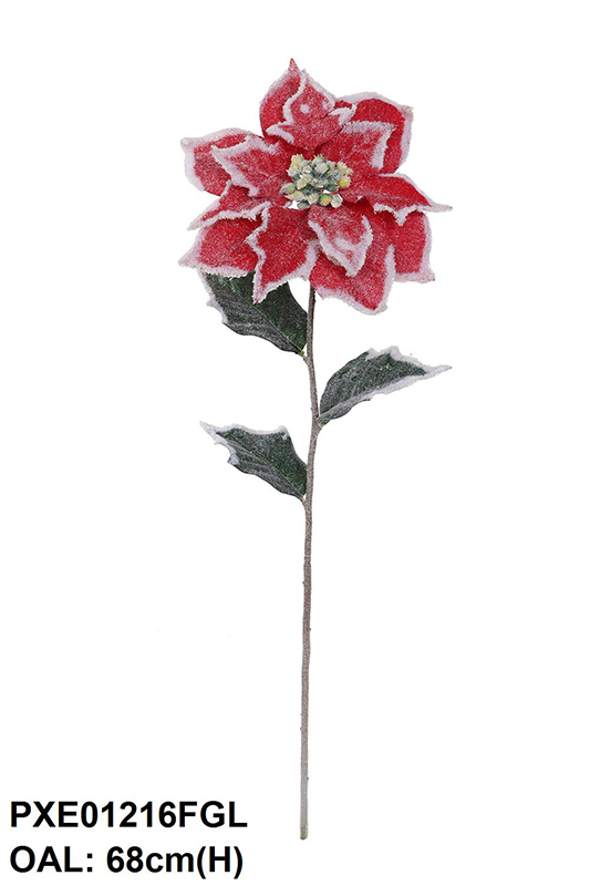 SNOWED SINGLE POINSETTIA WITH SNOW