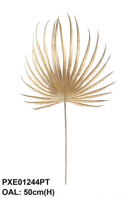 PALM LEAF