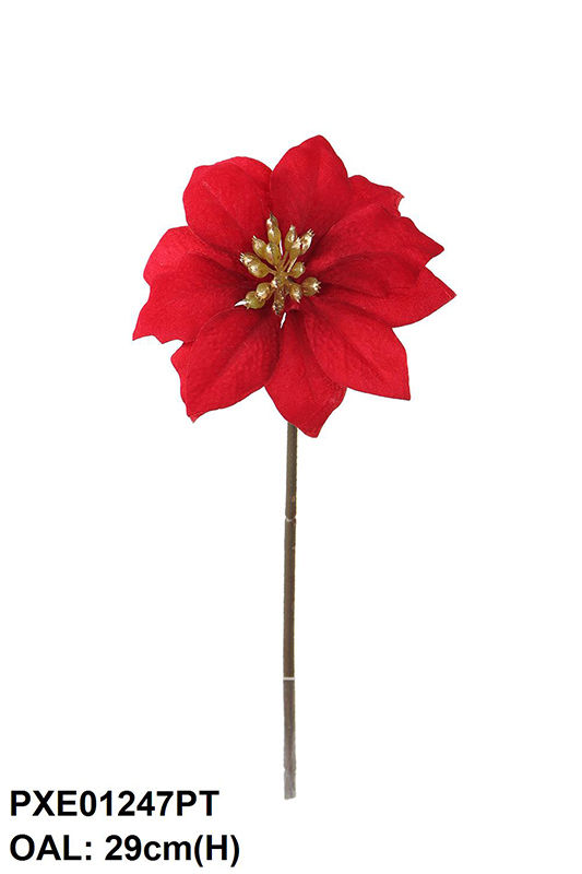 SHORT STEM POINSETTIA