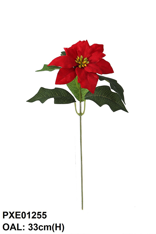 SINGLE POINSETTIA