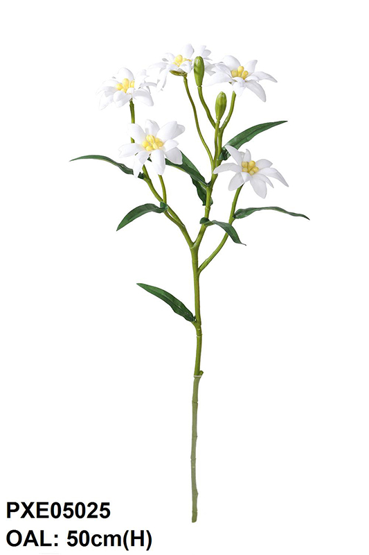 EDELWEISS SPRAY