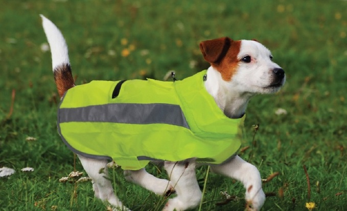 Active Wear Line - T8 Heavy Duty Raincoat