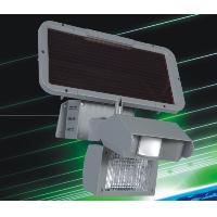 Solar Security Light