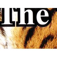 Sell Hotel Udaipur, Guest House Udaipur, Hotel Reservation Accommodation