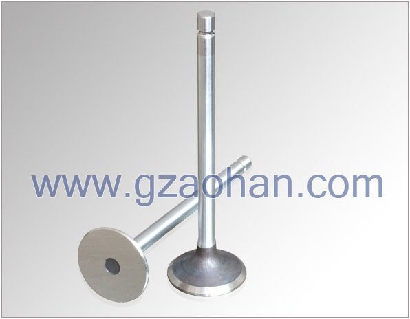 Cummins 6l8.9 Engine Valve