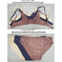 Wire Bra & Slip with Lace