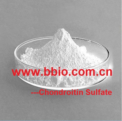 Chondroitin Sulfate