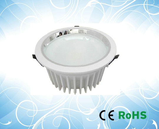 6 Inch Led Down Light