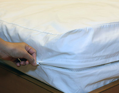 Aegis Mattress Cover - Baby 0/3
