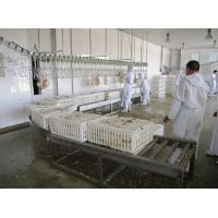 Crates Roller conveyor