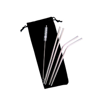 304 Stainless Steel Straw Set