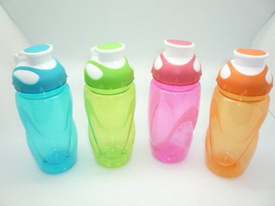 500ml SAN Bottle w/ 2 Tone Flip Lip