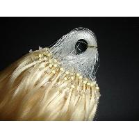 Sell Micro Ring Extension