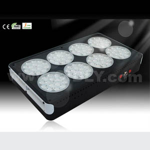 No.8 Apollo Led Grow Light